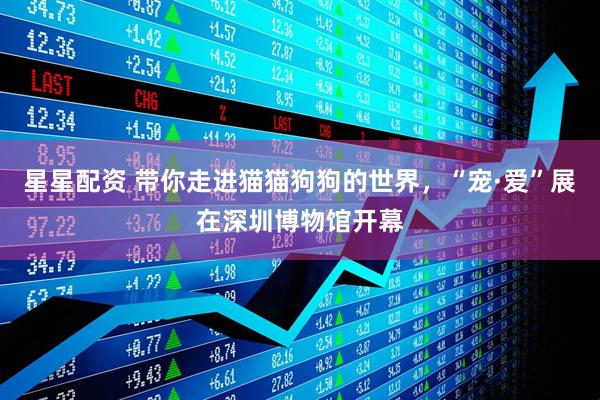 星星配资 带你走进猫猫狗狗的世界，“宠·爱”展在深圳博物馆开幕